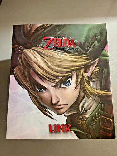 Figurine link first - link,
